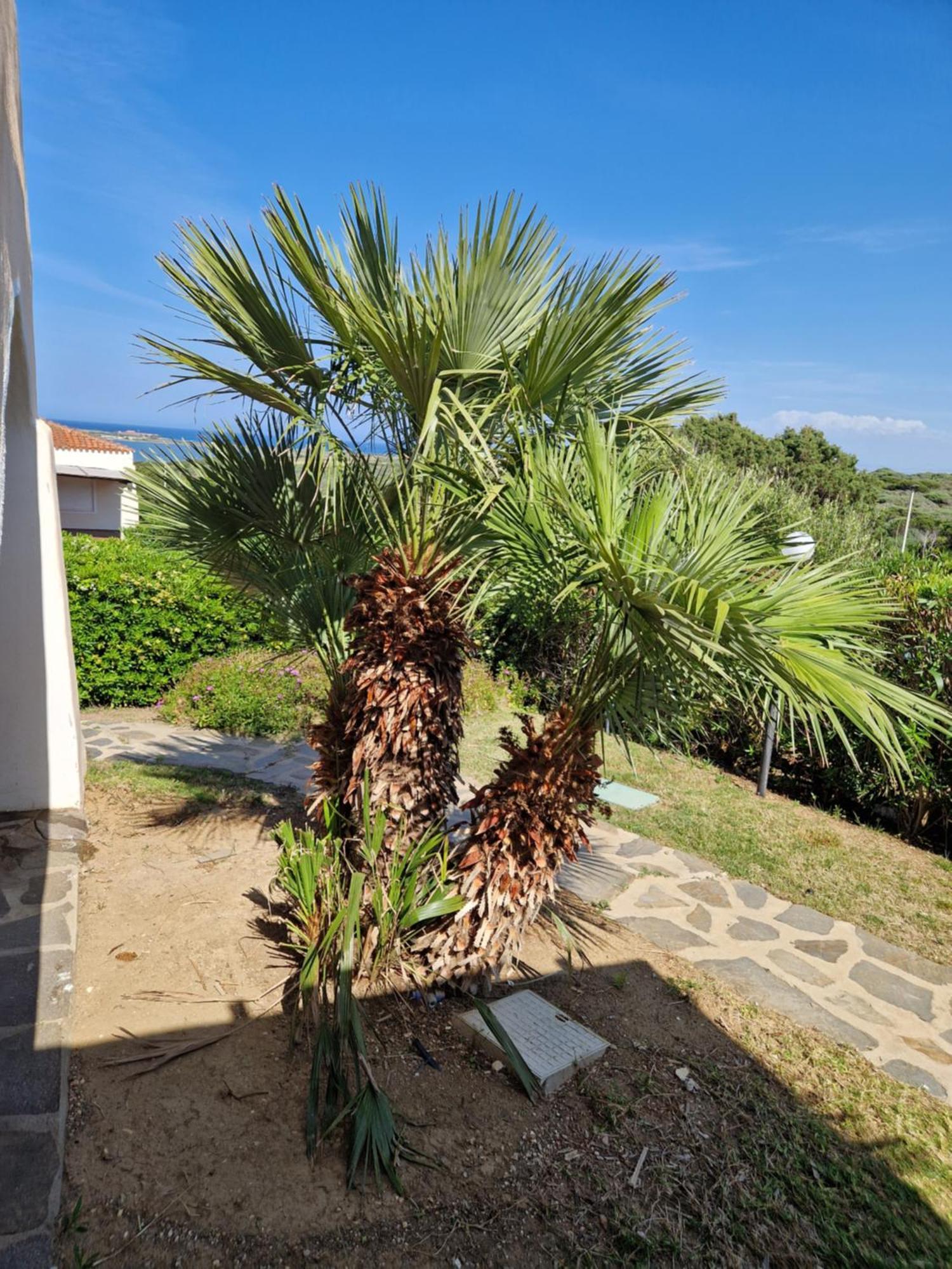 Villa Iris Stintino Exterior photo